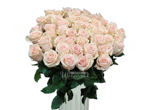 Сальма/розы нежно-розовые